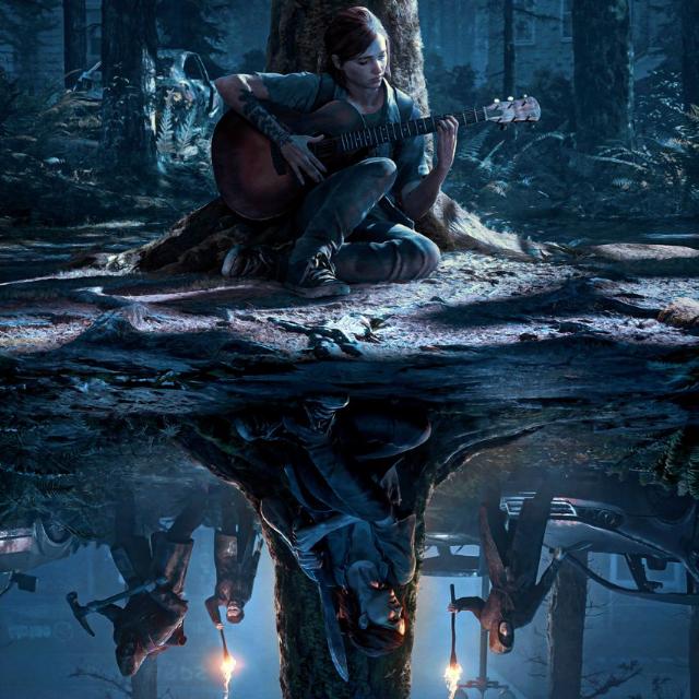 ???????????????? ????