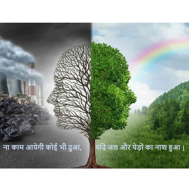 हमारा पर्यावरण ! 🌲⛰️