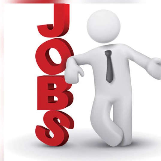 www.careerplaza.in