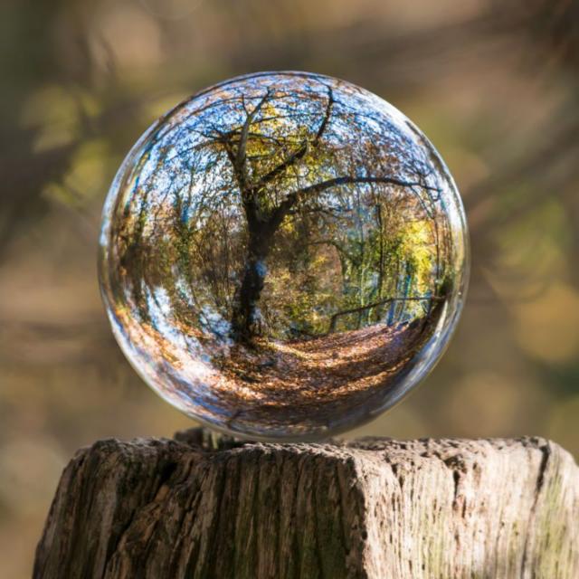 Shopping &amp; Services