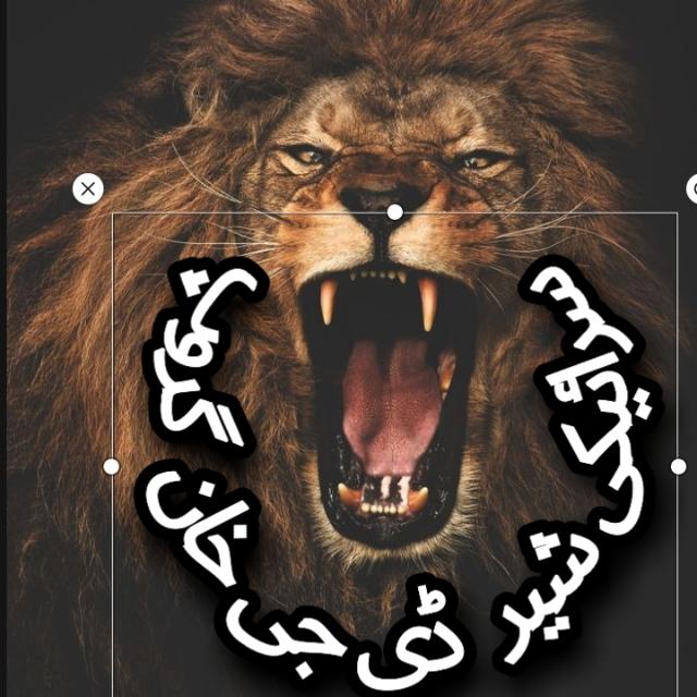 ?سرائیکی شیر?ڈی جی خان