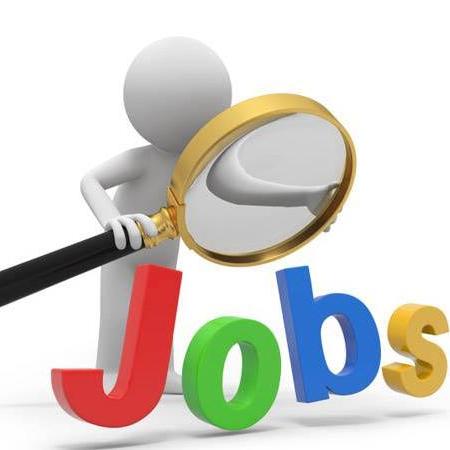 All Job 
