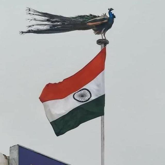 🇮🇳🇮🇳🇮🇳🇮🇳 भारतीय 🚩🚩🚩🚩