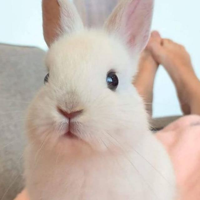 ?? 10 ??????  ?????✰???