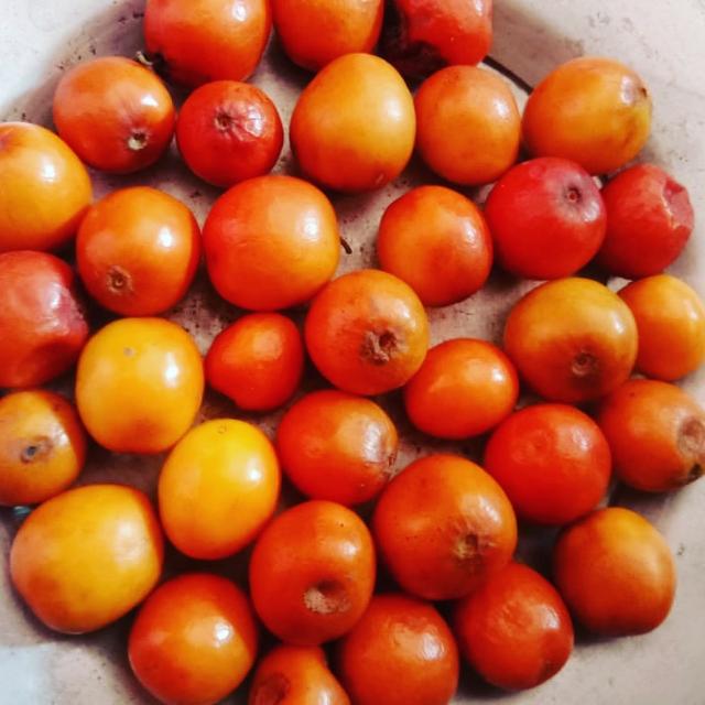 Istiyak Khan Gmail.com