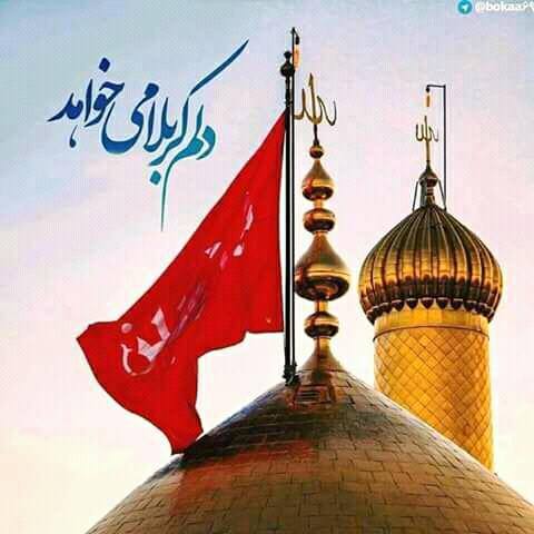 🌹Labbayik ya Hussain(as)🌹