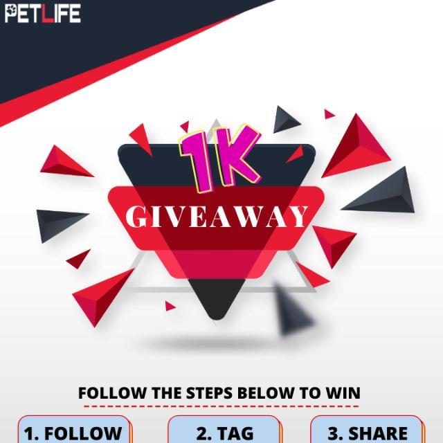 🗳️ PETS LUCKY DRAW 🗳️
