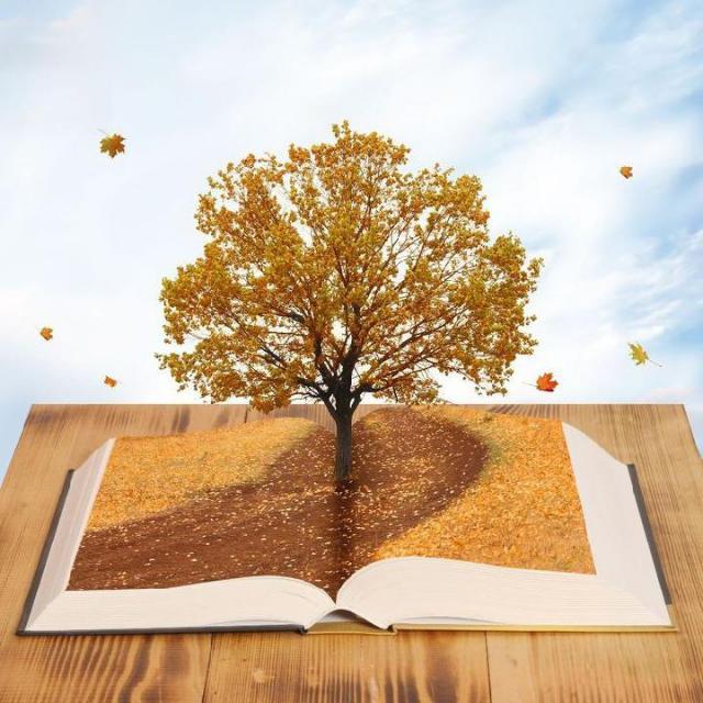 📚علم کا سمندر 🏝️