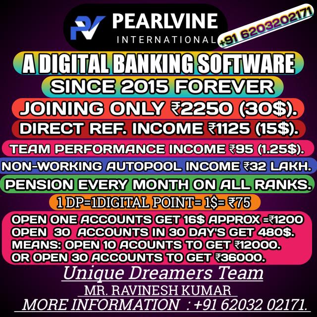 Digital Banking Job PV