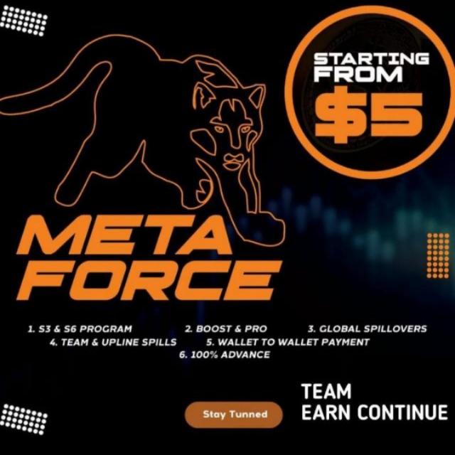 3️⃣✅TEAM LION P MEMBERS 3️⃣✅