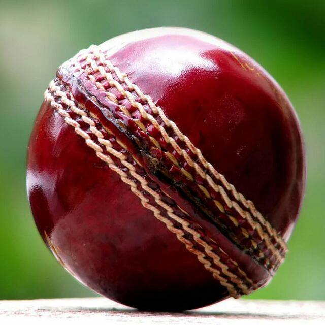 ♨♨tHe rEal woRld bEttIng♨