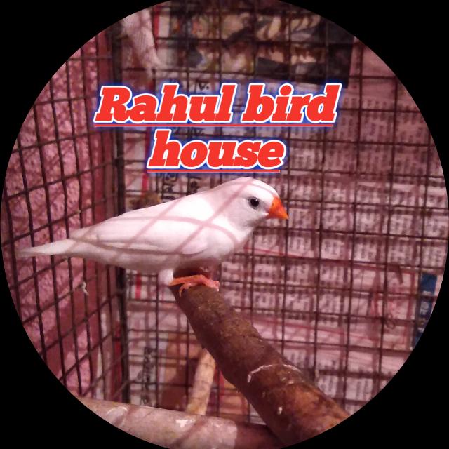 Subscribe to subscribe ?