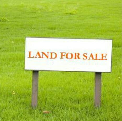 Only Real Estate?️