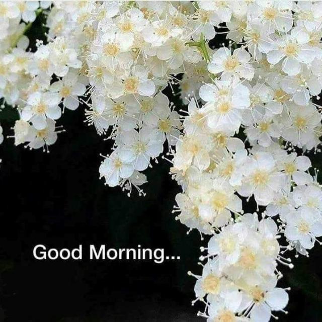 Pic sale by Chandrika