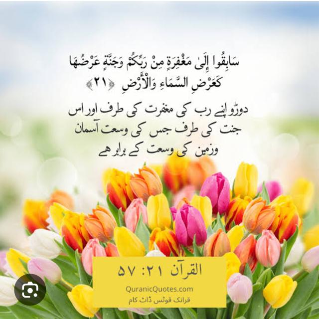 ☆《دوڑو اللہﷻکی طرف》☆