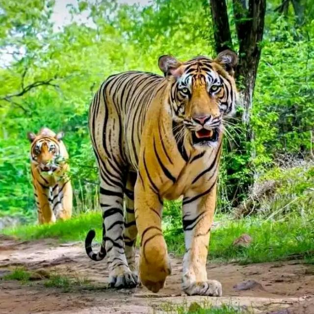 $a+4 father's of power??