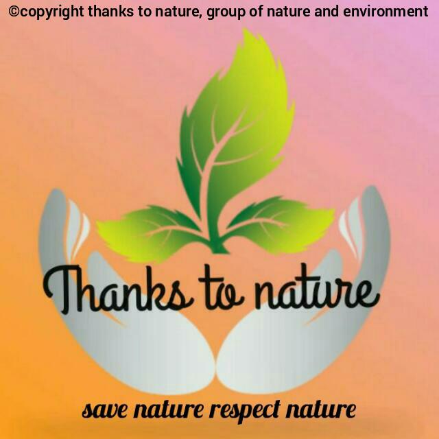 ?Thanks to Nature?