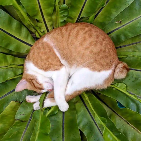 ☠️? chat group ??