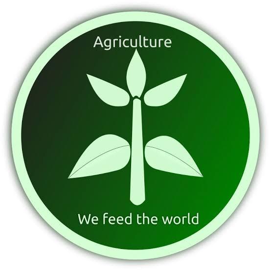 कृषी बाजार ग्रुप नांदेड