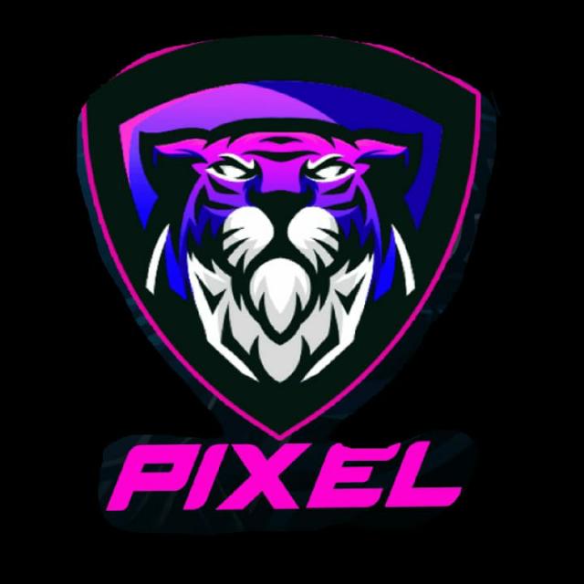 PIXEL HINDI GAMING (1)