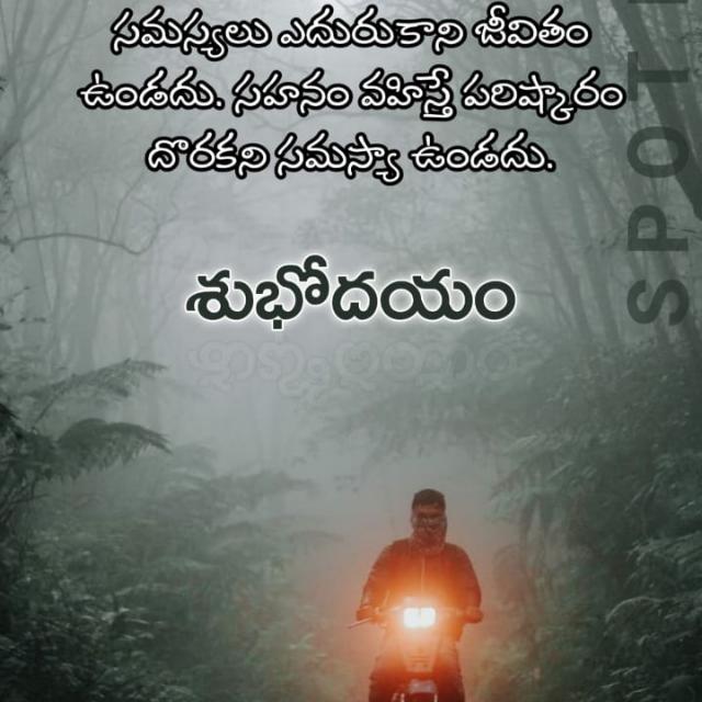 ?????? ?????? ?????? ????