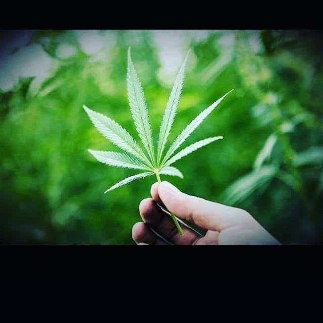 ජීවිතයට ඔවදනක්