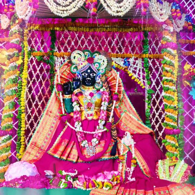 श्री बांकेबिहारीजी परिवार ❤️