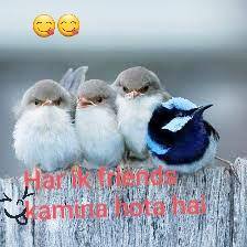 Har ik Friend👉 Kmina🙊🙊 hota Hai🙈🙈