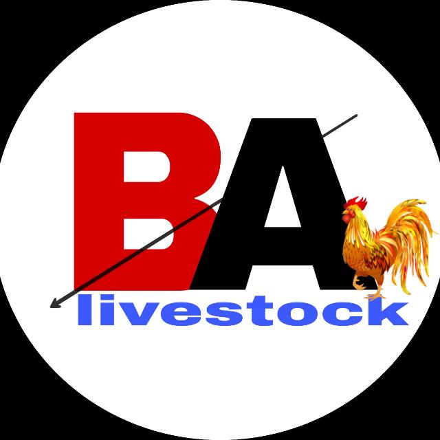 Poultry BusinessAdda