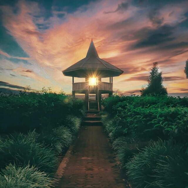 ⭐✨BAWAH 12 TAHUN ONLY✨⭐