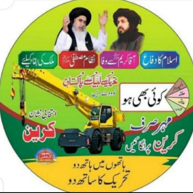 اقبال کا پاکستان شاخ 2