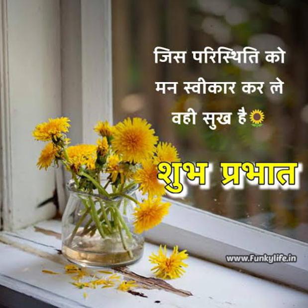 Only fan😘😘