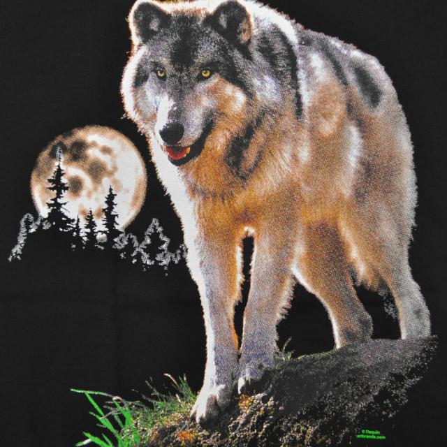 Ham Se Badhkar kaun ?