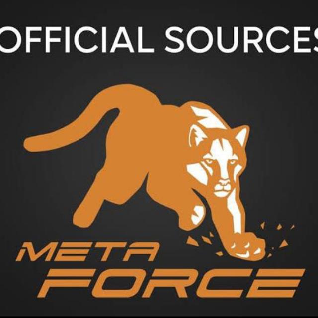 Meta force group ? ??