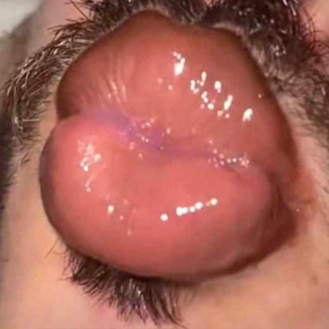 Nothing but joy
1️⃣⛔