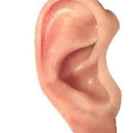 Ear treatment guaranteed