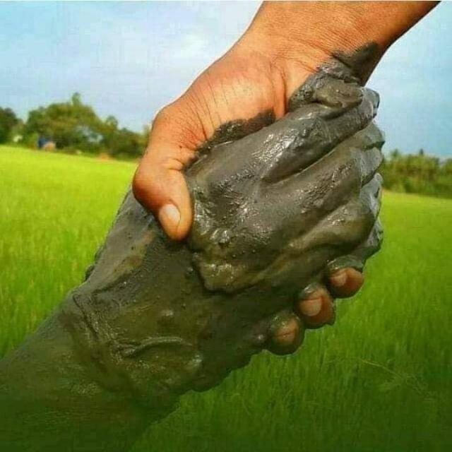 🌳🌾விவசாய தகவல் மற்றும் 🌴🌾