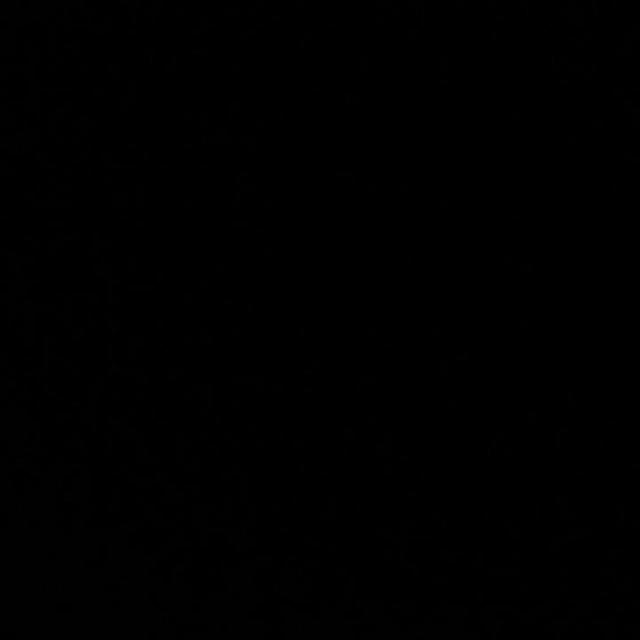 Grub infon ff ✌️?