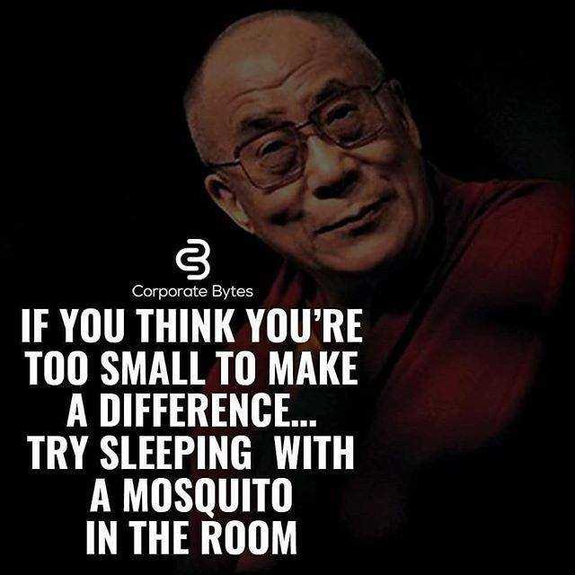 ?qυσтєѕ νιℓℓα?