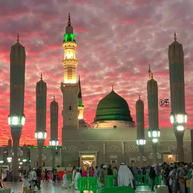 All loan data remove fast