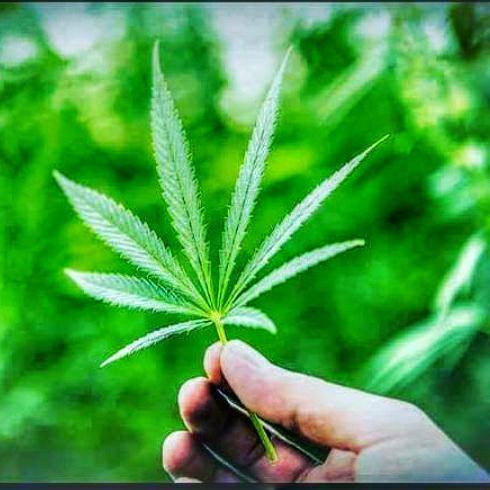 සුස්ති🍃🍃
