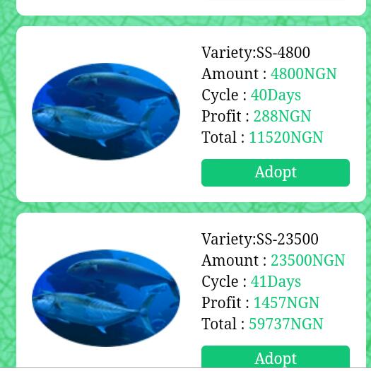Make money with Thomdock 💰