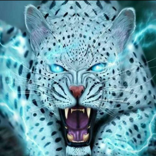 Wely asi tension loka non