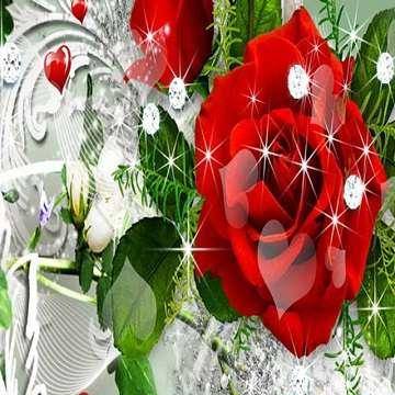 ??ONLY?? FOR QUEEN S