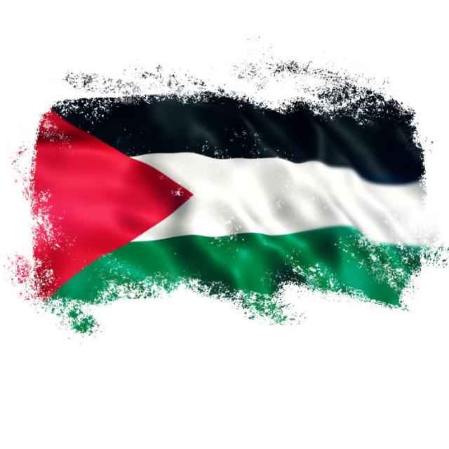 🇵🇸