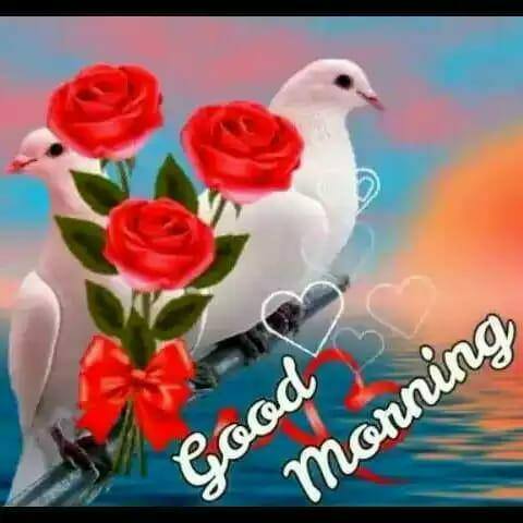 ??  ठुठी?बीडी??