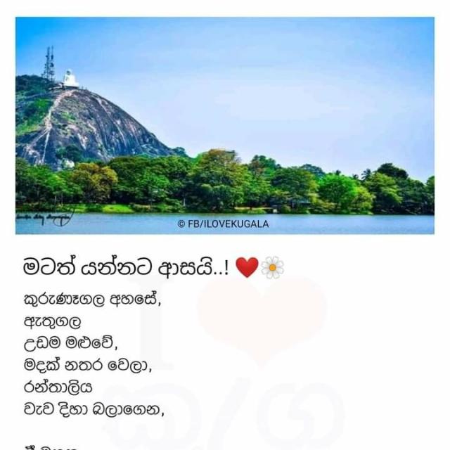 ඔන්ලයින් සේල්