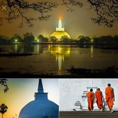 බුද්ධාගම 2021( 11 වසර)