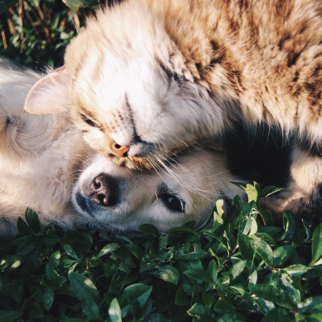 Cute Friends😊