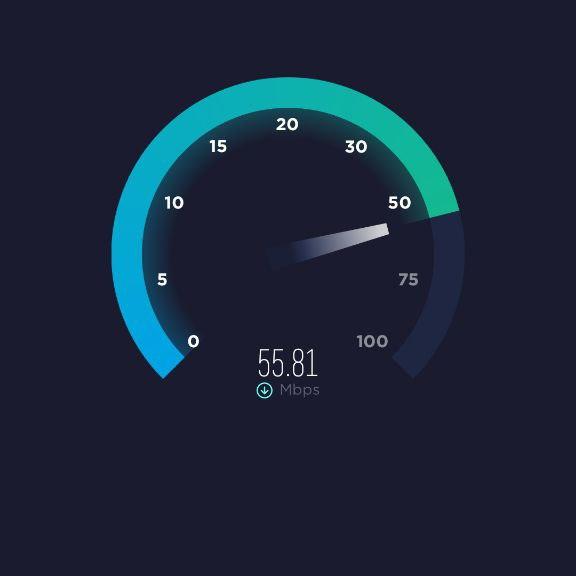 BUNNY PAID SSH FREE ??